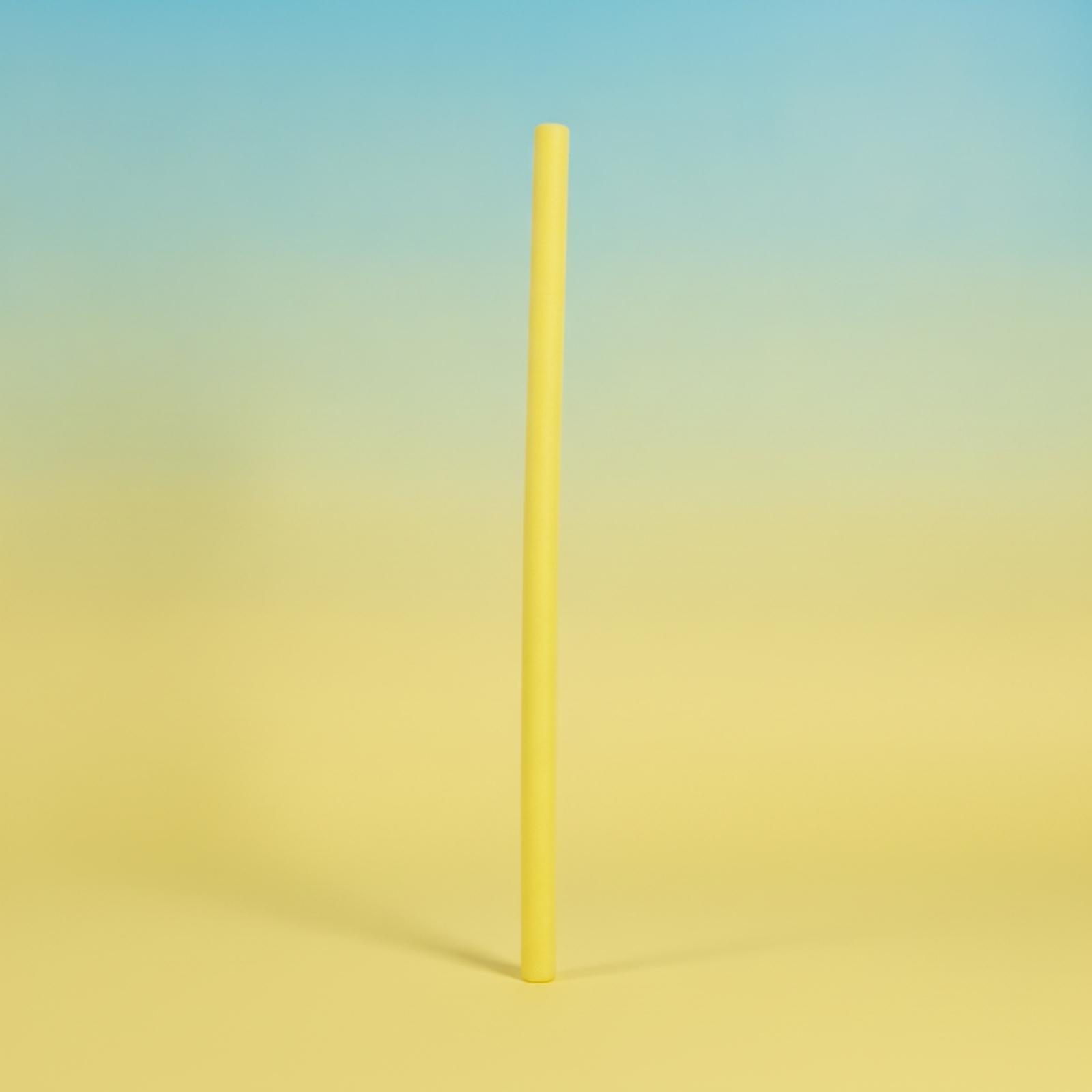 Foam Pool Noodle - Schwimmtrainings-Stange: Zylindrische Schaumstoffnudel als Schwimmhilfe für