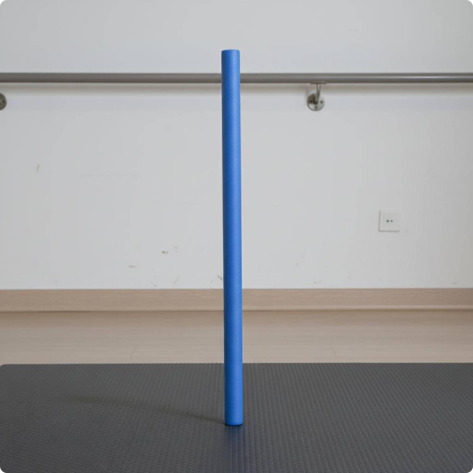Schwimmtrainings-Stange: Zylin – Foam Pool Noodle Bewertung und Preis
