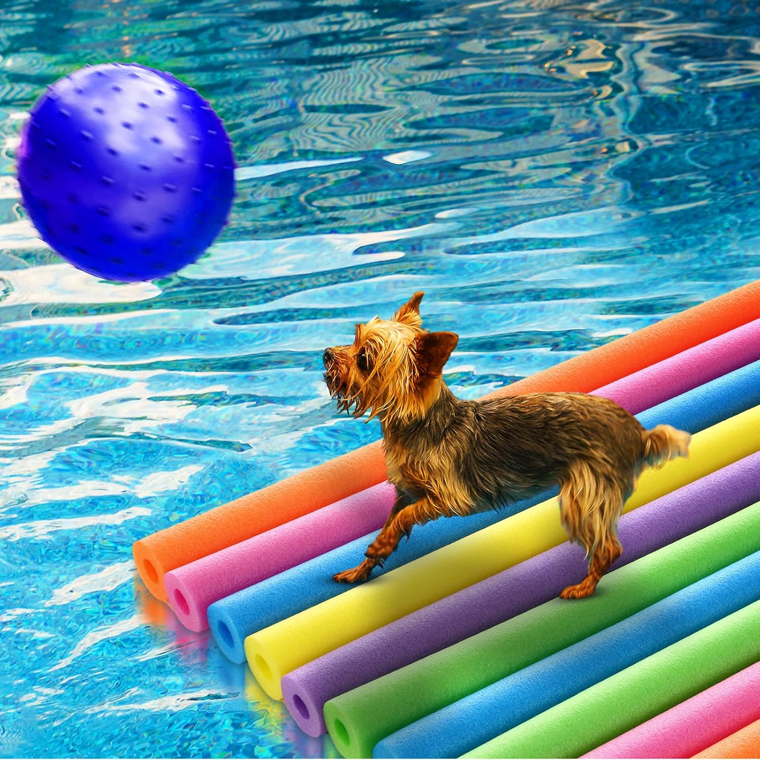 18er-Pack Schwimmnudeln, 39 x  – Foam Pool Noodle Bewertung und Preis